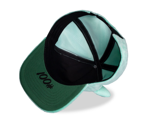 POKEMON - Bulbizarre - Casquette Novelty Plush