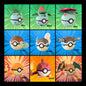 Pokeball STARTER pack